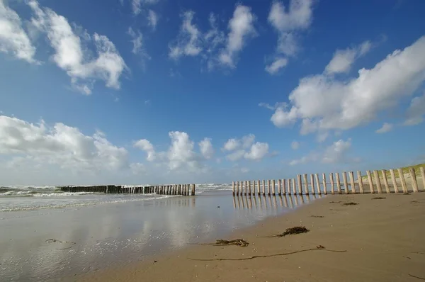 Północne Wybrzeże Morza Między Szkołą Bergen Aan Zee Północna Holandia — Zdjęcie stockowe