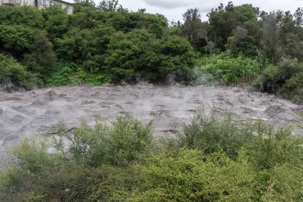 Puia Geothermal Valley Landscape View Live Geysers Mudpools Rotorua New — Stock Photo, Image