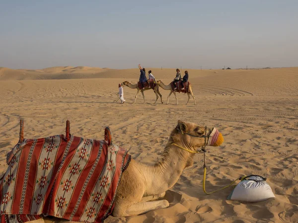 Abu Dabi Çöl — Stok fotoğraf