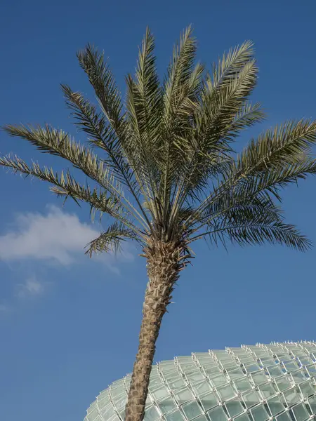 Mooi Botanisch Schot Natuurlijk Behang — Stockfoto