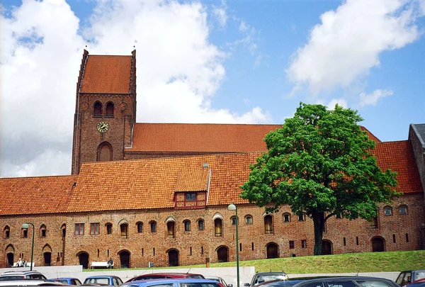 덴마크의 교회와 나무가 — 스톡 사진