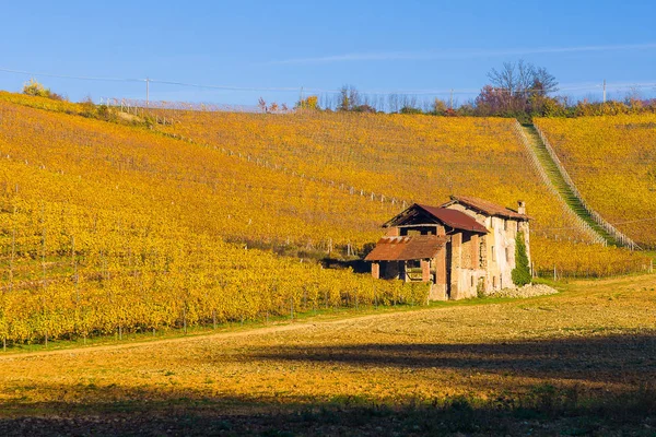 Vista Sobre Vinhas Piemonte Durante Outono — Fotografia de Stock