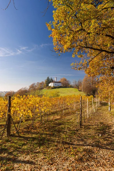 Переглянути Над Виноградниками Ємонт Протягом Осені — стокове фото