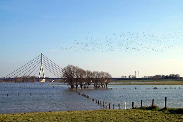 Most Dolnego Renu Weselu — Zdjęcie stockowe