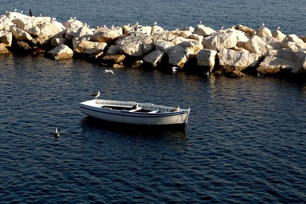 Barca Bianca Nel Porto — Fotografia de Stock
