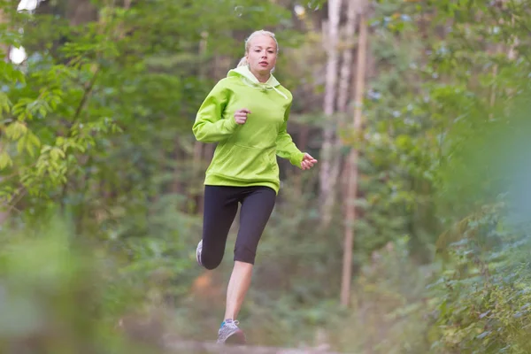 Hübsche Junge Läuferin Wald Laufende Frau Läuferinnen Joggen Beim Outdoor — Stockfoto