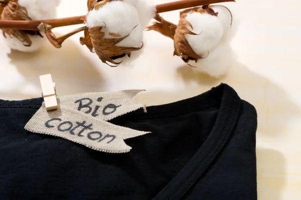 T-shirt and branch with cotton blossoms, showing use of natural fabrics