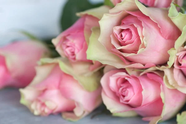 Hermosas Rosas Rosadas Frente Fondo Madera —  Fotos de Stock