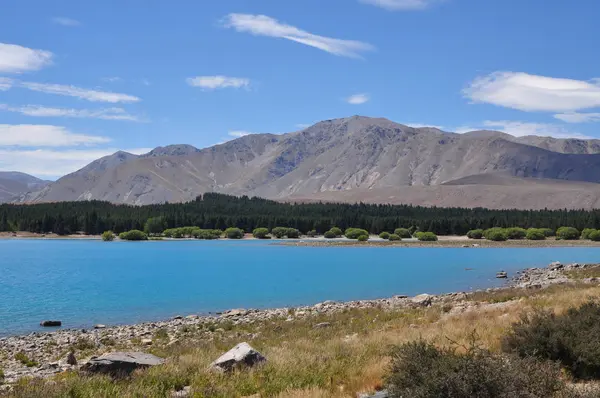 Nowa Zelandia Wyspa Południowa Jezioro Tekapo Parku Narodowym Mount Cooka — Zdjęcie stockowe