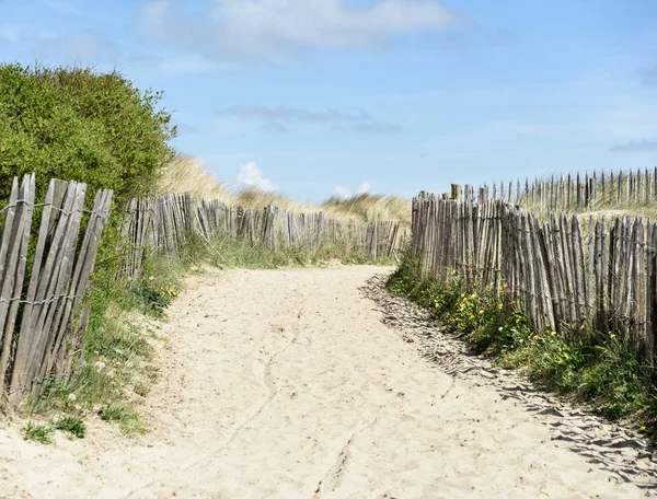 Caminho Nas Dunas Blankenberge Mar Norte Bélgica Cercas Madeira — Fotografia de Stock