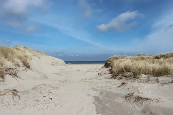 Plage Dunes Sur Île Borkum — Photo