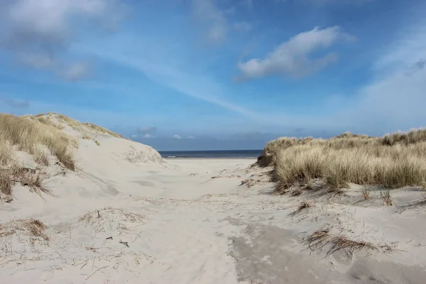 Plaża Wydmy Wyspie Borkum — Zdjęcie stockowe