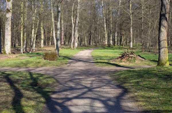 Droite Gauche Droite Carrefour Dans Forêt — Photo