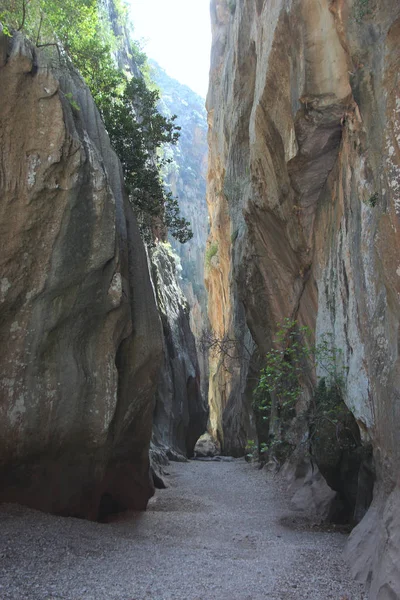 Schlucht Torrent Pareis Auf Mallorca — Fotografia de Stock