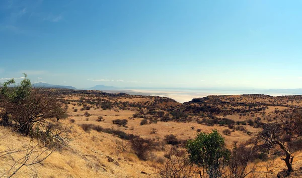 Άποψη Της Λίμνης Natron Στην Τανζανία — Φωτογραφία Αρχείου