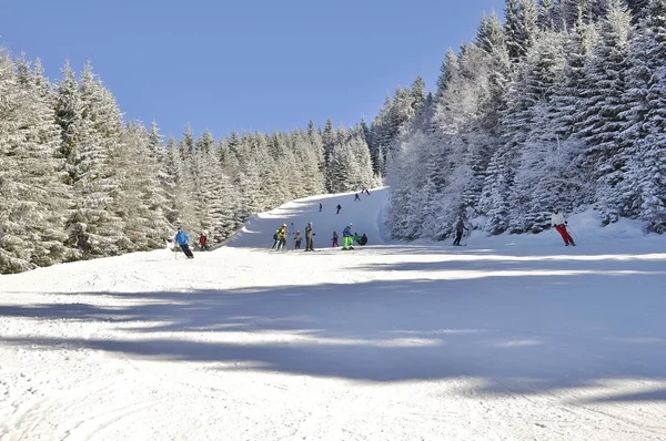 Ski Dans Station Ski Montafon Silvretta Dans Les Villages Schruns — Photo