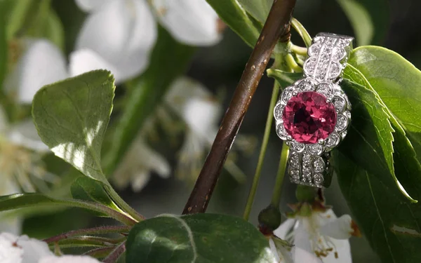 Rózsaszín Gyémánt Turmalin Eljegyzési Gyűrű Rejtett Között Virágzik — Stock Fotó