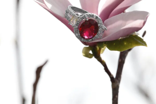 Розовый Бриллиант Турмалин Обручальное Кольцо Спрятанное Среди Деревьев Цветет — стоковое фото