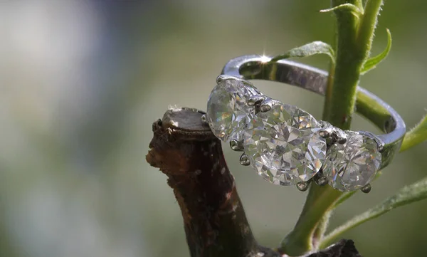 自然の中の木の枝に入れ子に結婚式の宝石リング — ストック写真