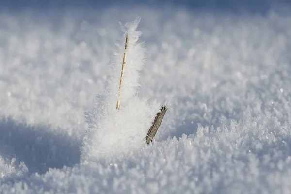 Снігопад Горі — стокове фото