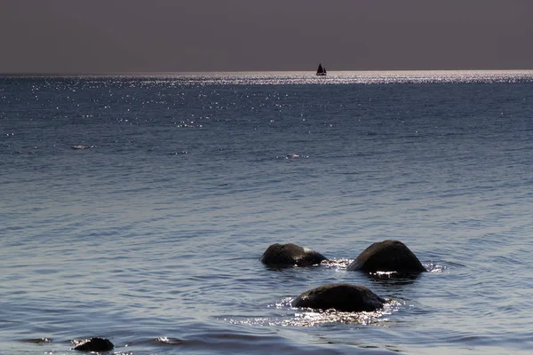 Чайка Камне Фоне Сияющего Солнца Сверкающих Солнечных Отражений Море Балтийского — стоковое фото