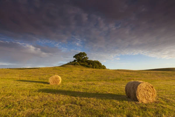 Balle Paglia Campo Estate Alla Luce Del Sole Speciale — Foto Stock