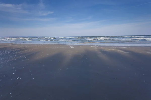 Mar Báltico Verano Con Largas Sombras Árboles Playa Mar Báltico — Foto de Stock
