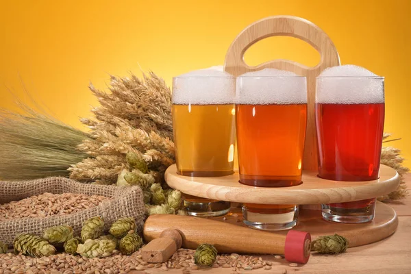 Bier Und Biergläser Mit Weizen Gerste Hopfen Und Malz — Stockfoto