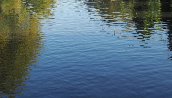 Reflexões Árvores Água Azul Calma Uma Lagoa Útil Como Fundo — Fotografia de Stock