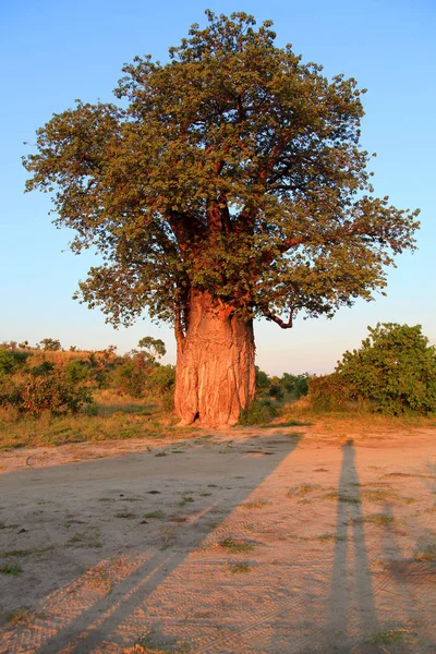 Schöne Aussicht Auf Die Natur — Stockfoto