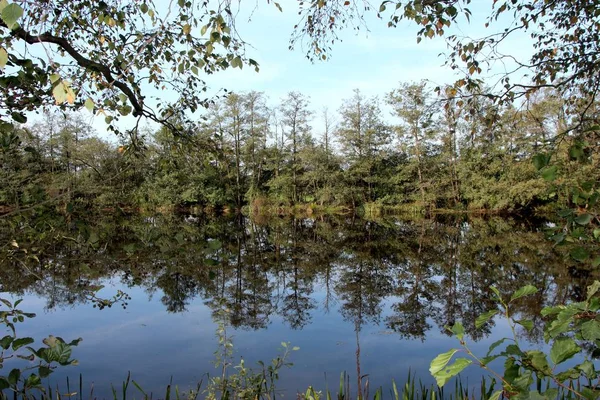 Miroir Eau Sur Étang — Photo