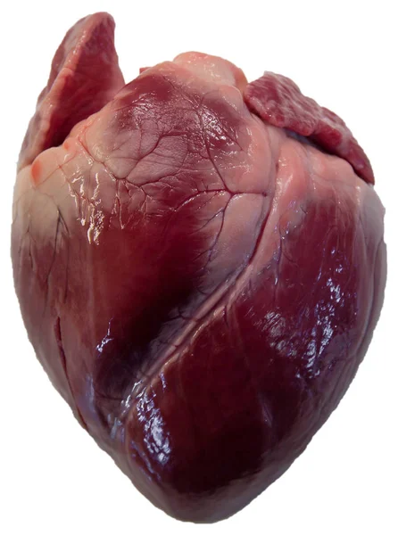 Undantagen Hjärta Gris Hjärta — Stockfoto