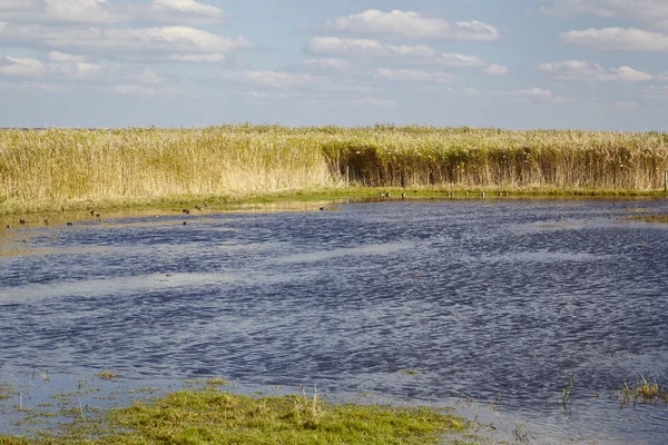 Intryck Från Fischlandhalvön Mellan Ahrenshoop Och Wustrow Mecklenburg Vorpommern Tyskland — Stockfoto