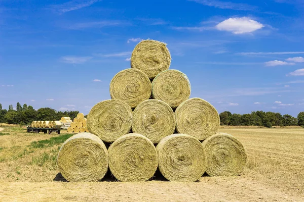 Heno Pacas Paja Después Cosecha Alimentación Ganado Invernaderos Para Ganado —  Fotos de Stock