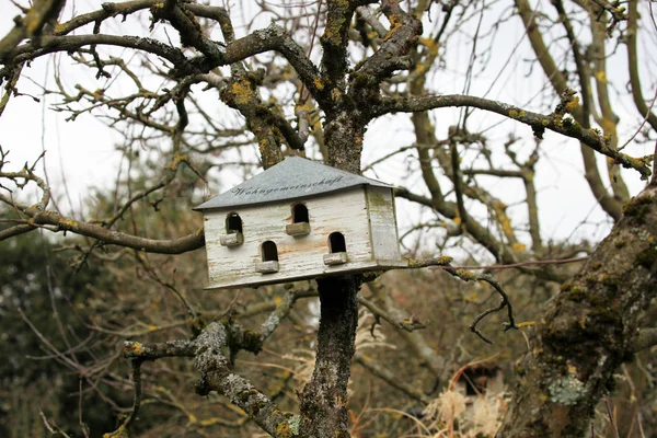 Birdhouse Several Birds Tree Garden — Stock Photo, Image