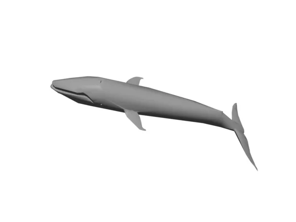 Renderização Tubarão Isolado Fundo Branco — Fotografia de Stock