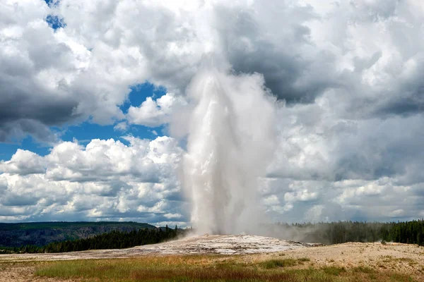 Stary Wierny Geysir Wybucha Parku Narodowym Yellowstone — Zdjęcie stockowe