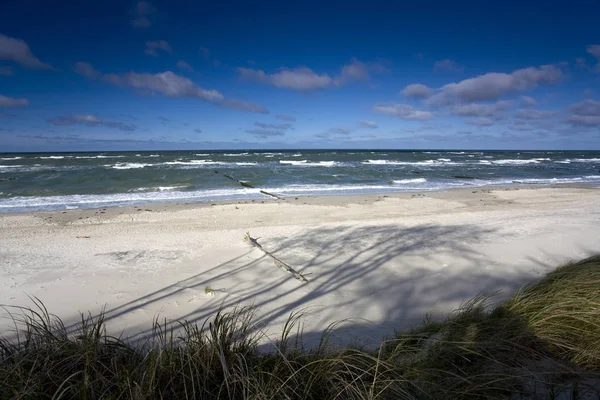 Mare Baltico Estate Sole Contro Luce Riflessi Tramontando Sole Rami — Foto Stock