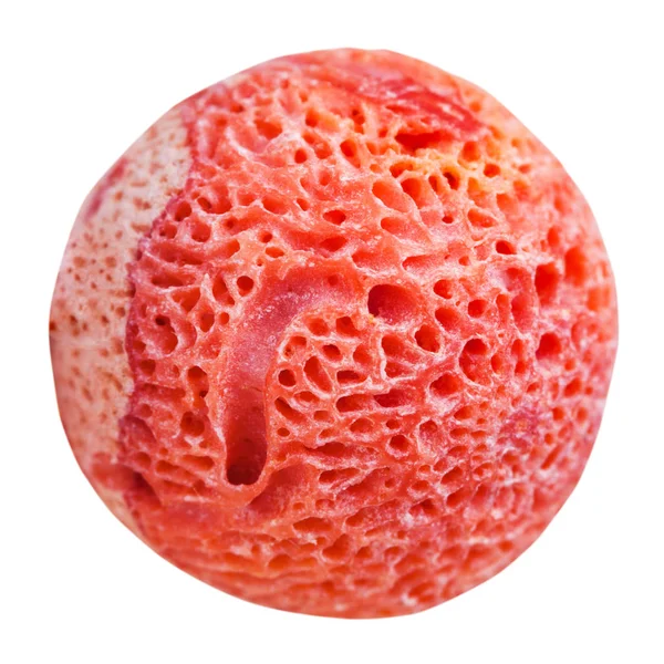 マクロ撮影 白い背景に隔離された赤いスポンジサンゴの宝石からボール — ストック写真