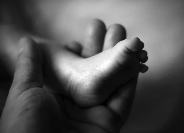 Close Baby Feet Hands Father — Stock Photo, Image