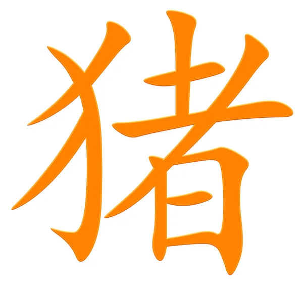 猪的汉字 五颜六色 — 图库照片