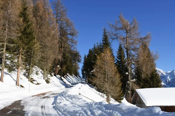 Pedágio Estrada Inverno Hochstein Neve Bloqueio Osttirol — Fotografia de Stock