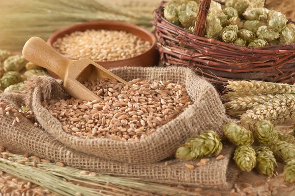 Ingredientes Cerveja Trigo Cevada Lúpulo Malte — Fotografia de Stock