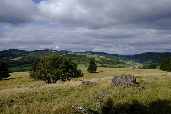 Silberdisteln Carlina Acaulis Arnsberg Bayerische Rhoen Dolna Frankonia Bawaria Niemcy — Zdjęcie stockowe