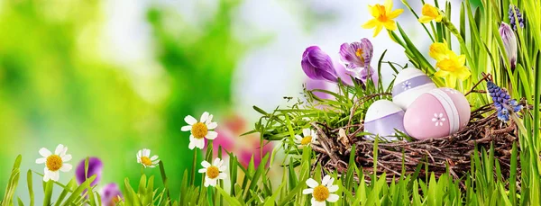 鳥の巣の中に3つの装飾された卵を持つ装飾的なイースターエッグパノラマバナーコピースペースと屋外のぼやけた背景にカラフルな花を持つ新鮮な緑の春の草 — ストック写真