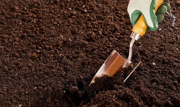 鋼のトロールを使用してゴムと布の手袋で未確認の手を閉じて裸の土壌の庭に掘る — ストック写真