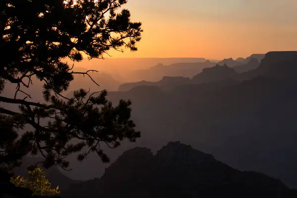 Gran Parque Nacional Del Cañón Arenisca — Foto de Stock