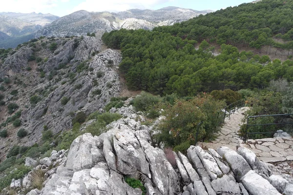 Natuurpark Sierra Las Nieves Andalusia — Stockfoto