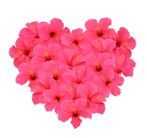 Hjärtform Bukett Gjord Hibiscus Blommor Isolerad Vit Bakgrund — Stockfoto
