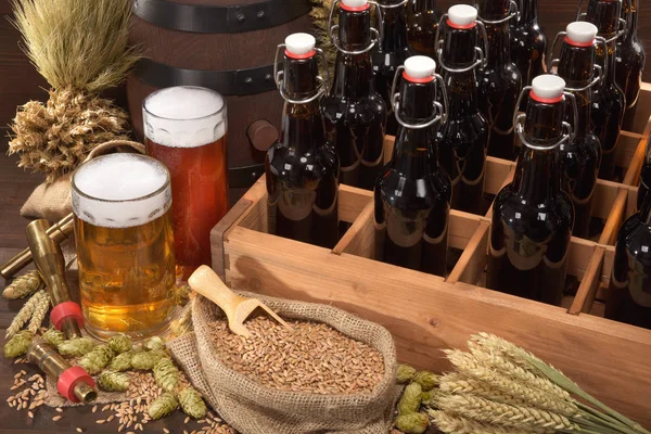 不同啤酒 啤酒花和麦芽的啤酒载体 — 图库照片